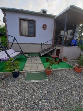 Giorgi's home